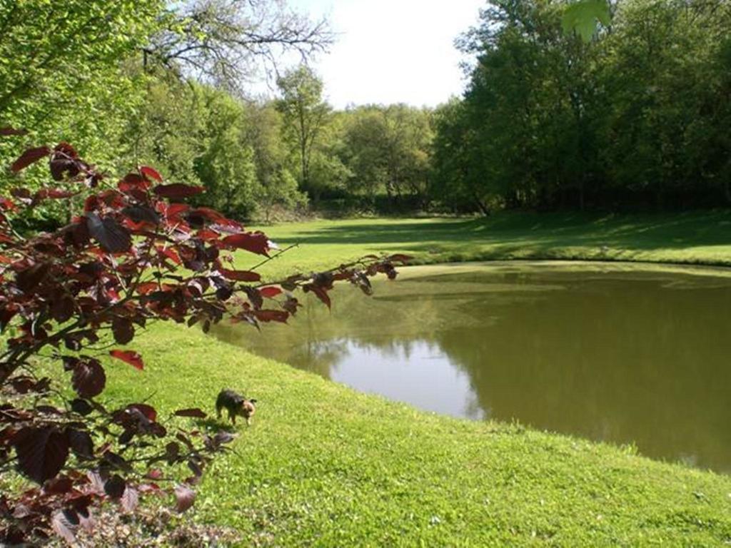 Bed and Breakfast Les Camelias Lalinde Zewnętrze zdjęcie